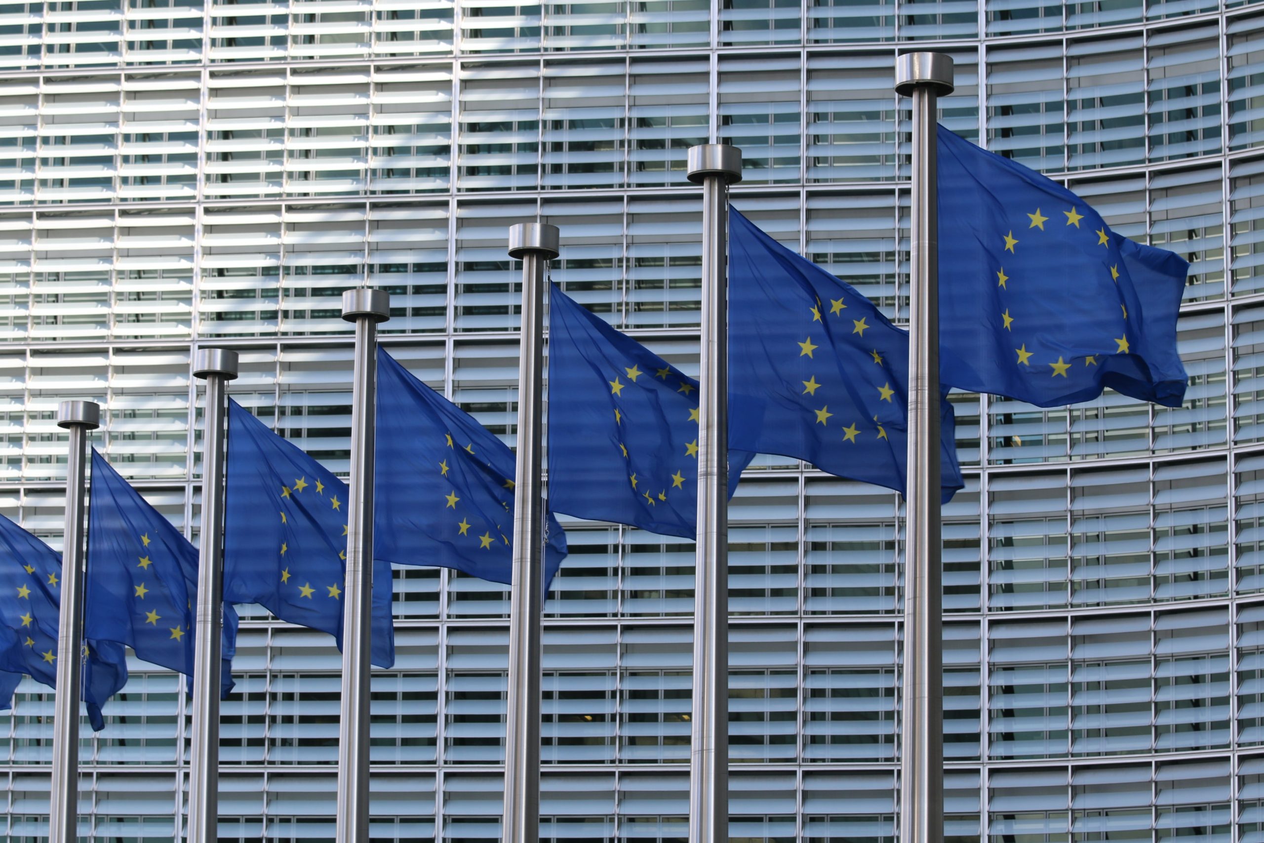Didactic Materials “Introduction to European politics: origins, principles, values”